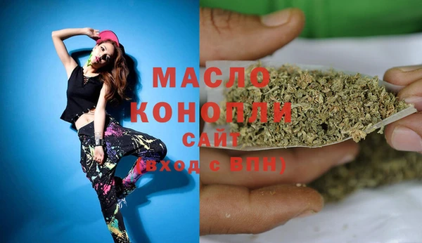 дмт Няндома