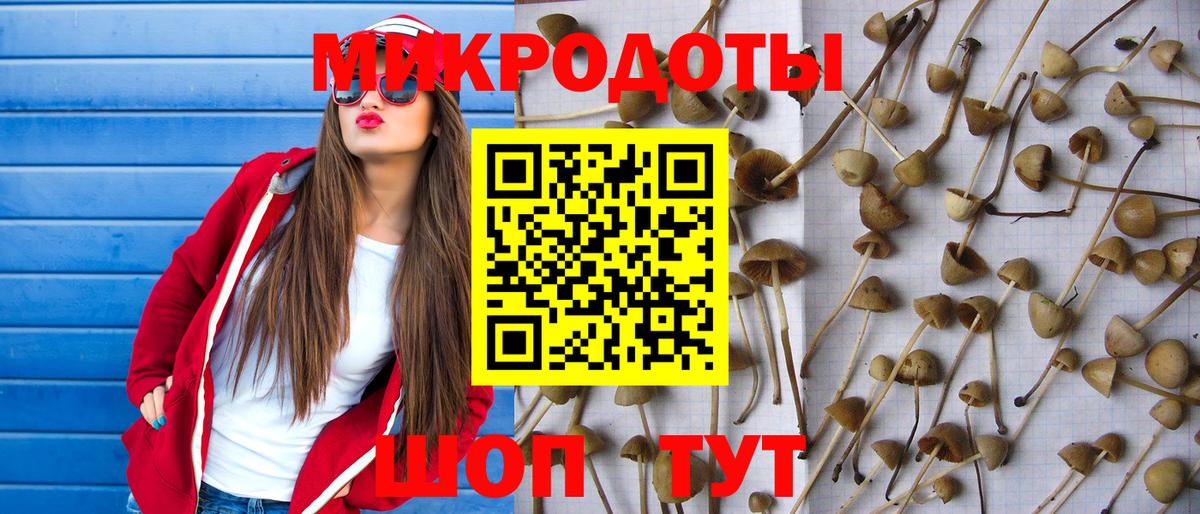 Псилоцибиновые грибы GOLDEN TEACHER  Вход с VPN  Псилоцибиновые грибы Psilocybine cubensis  Алейск 